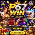 P67win Game