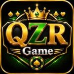 QZR Game