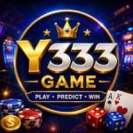 Y333 Game